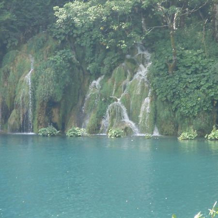 Jelena Hotel Korenica Bagian luar foto